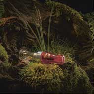 Weisskirchen G�nselocker Acryl 4