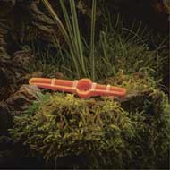 WEISSKIRCHEN WXT - 4all Universallocker 4