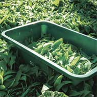 FARM-LAND Wildwanne 60 Liter lebensmittelecht 2