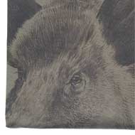 HUBERTUS T-Shirt Keiler schilf 2