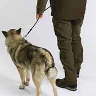 PINEWOOD Smland Hunters Hose Suede brown 3