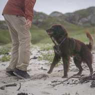 PINEWOOD Everyday Zip-Off Herren Hose Sand 4