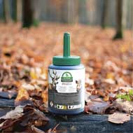 Buchenholzteer 500ml Dose mit Pinsel 2