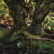 SEELAND Scent Control Camo Handschuhe InVis green 3