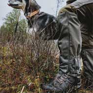 PINEWOOD Active 2.0 Gamaschen Mossgreen 1