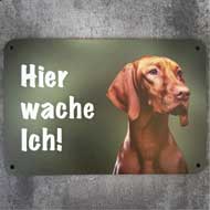 WILDE HILDE Zaunschild ''Magyar Vizsla'' 2