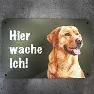 WILDE HILDE Zaunschild ''Labrador'' 2