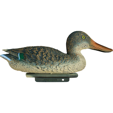 Lockvogel Lffelente