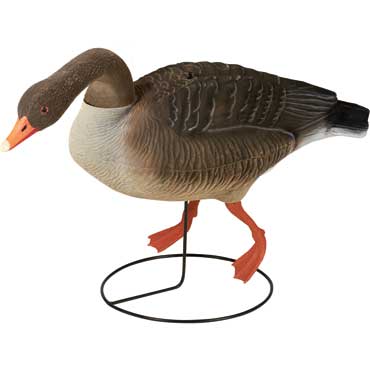 Decoy Lockvogel Graugans fressend